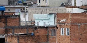 Casas de tijolo à vista em comunidade de São Paulo