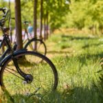 bicicleta parque grama